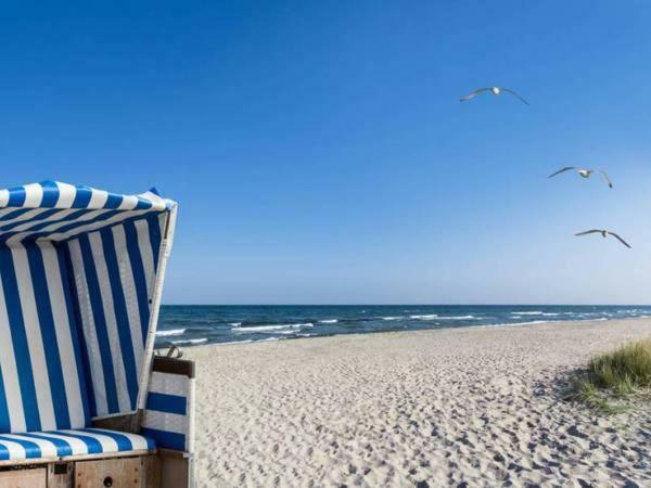 Möwenblick Lägenhet Ostseebad Kühlungsborn Exteriör bild